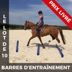 Lot de 10 barres d'entraînement