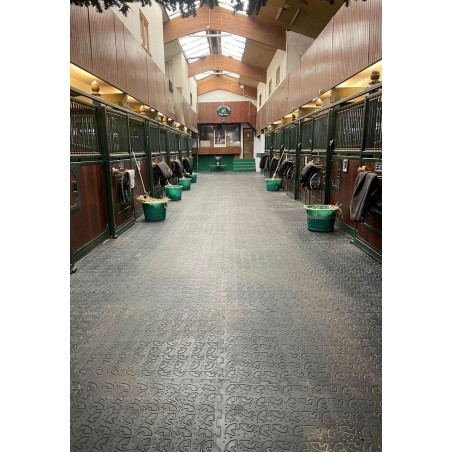 tapis puzzle Eldorado avec profil tête de cheval
