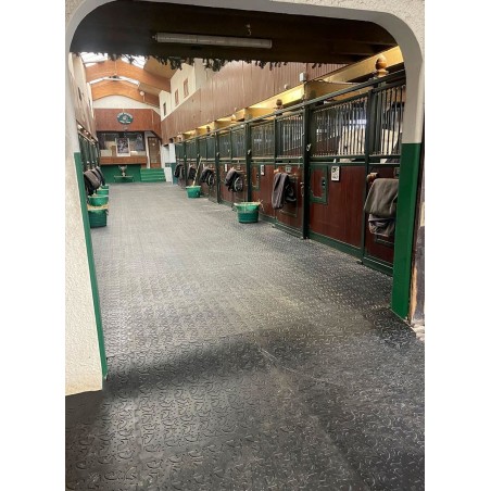 tapis puzzle Eldorado avec profil tête de cheval