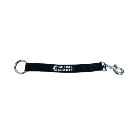 Sangle de fixation pour seau