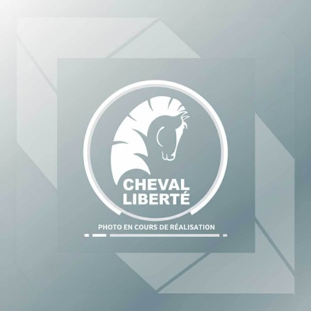 Jeu d'autocollants universel kit complet DEBON