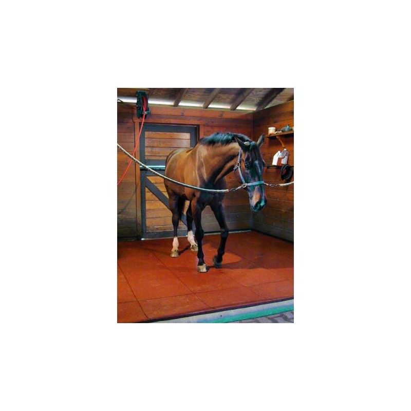 Dalle non drainante noire 40 mm