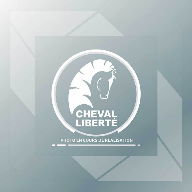 Bras de suspension Pullman 2 pour C2000 avant gauche 900kg