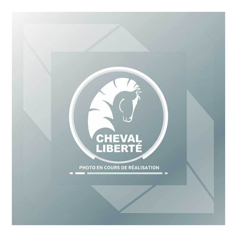 2 enjoliveurs pour roue 13 pouces