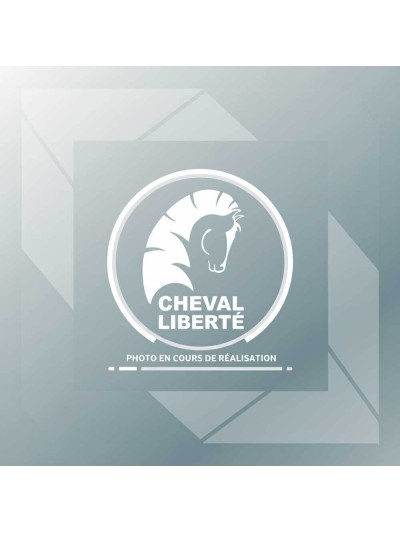 Système de verrou pour hayon arrière de C800  et  C900