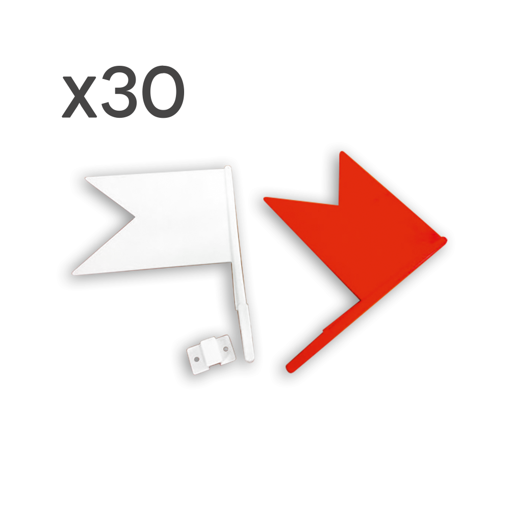 Lot de 30 fanions avec attaches