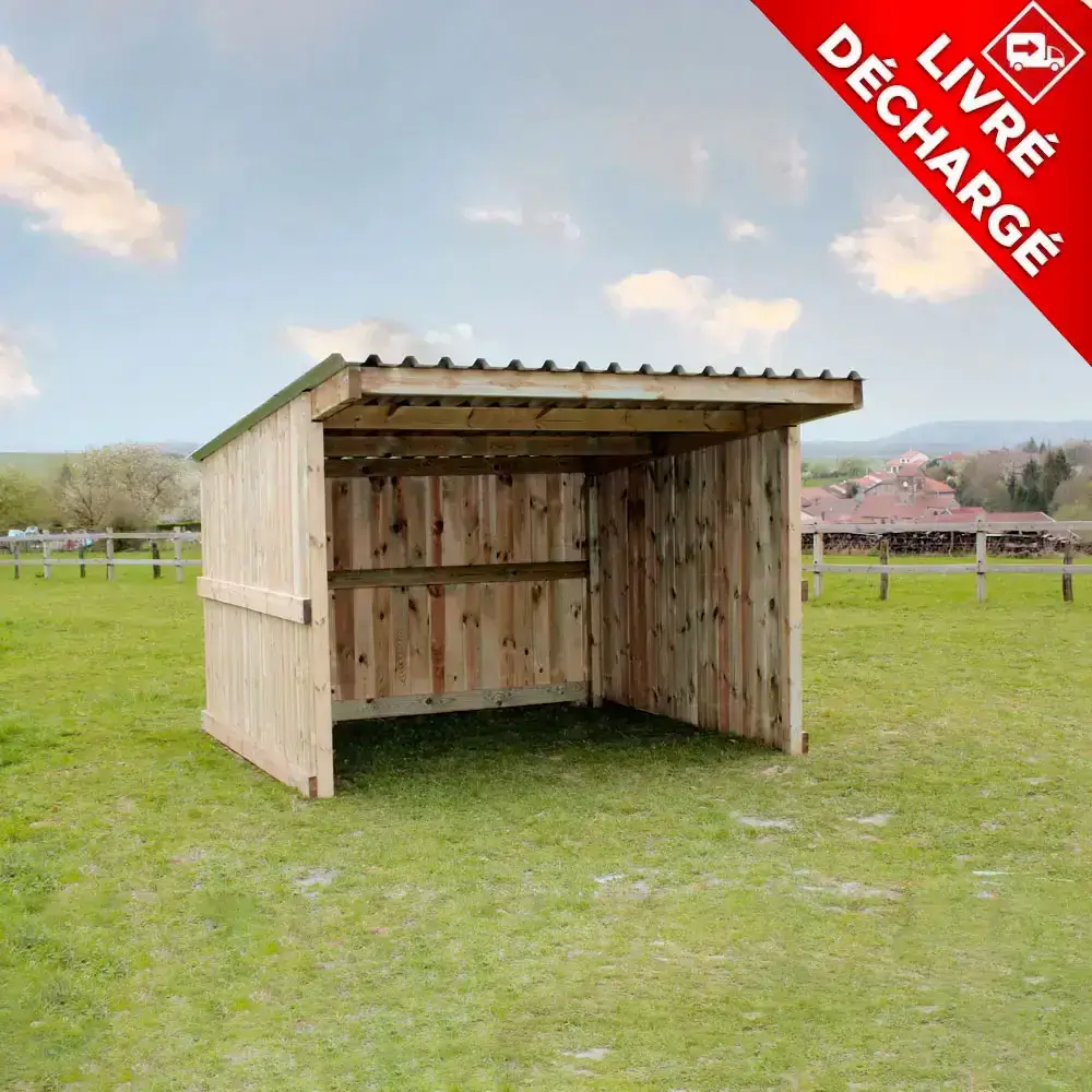 Abri Classic 12m2 : 3x3m + Auvent 1m