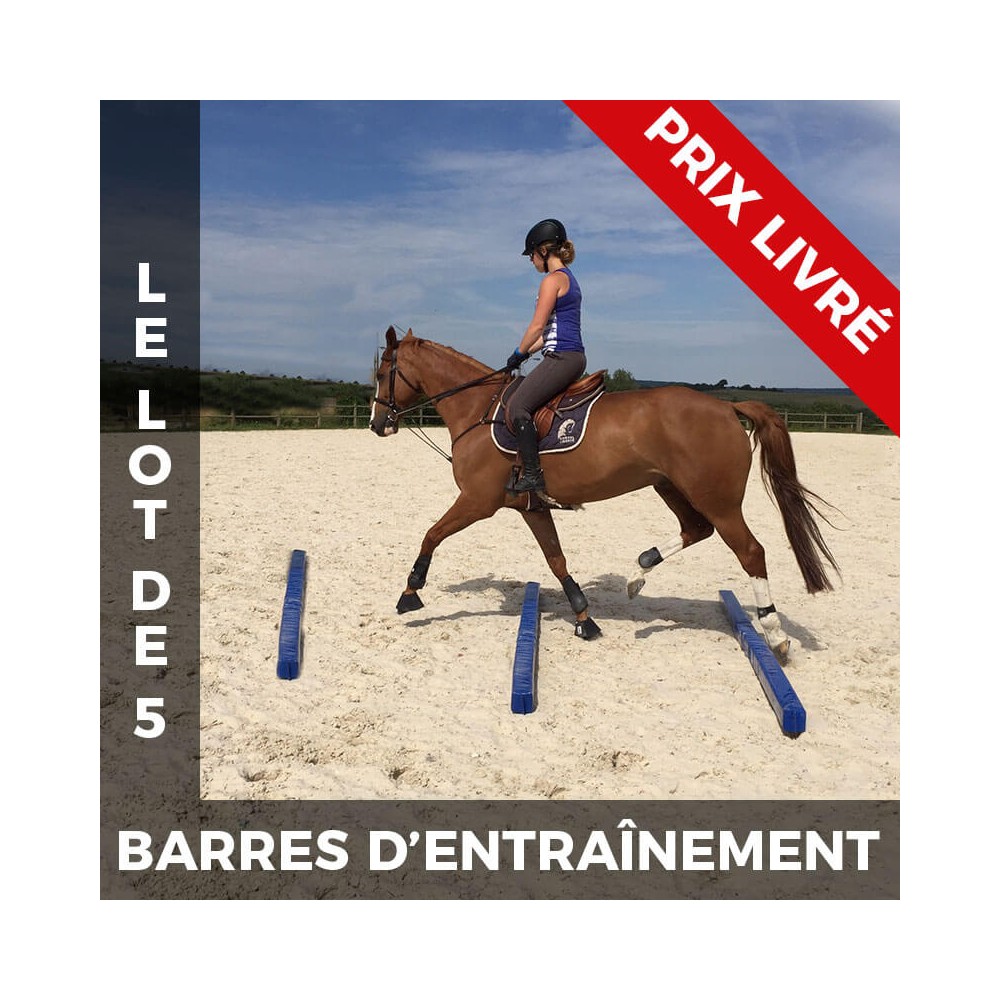 Lot de 5 barres d'entraînement en mousse