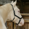 Licol en cuir noir Cheval liberté