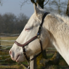 Licol en cuir marron Cheval liberté