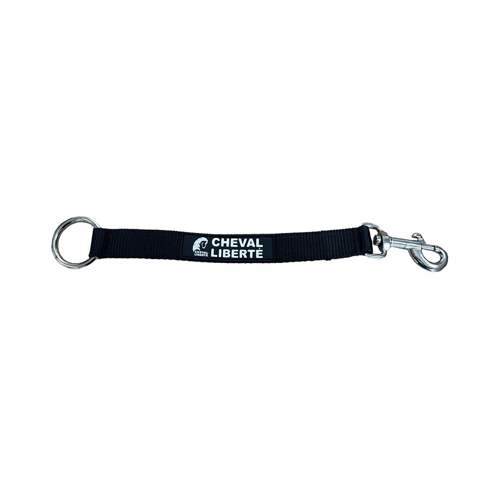 Sangle de fixation pour seau