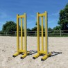 Lot de 2 chandeliers Training