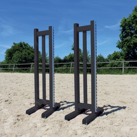 Lot de 2 chandeliers Training