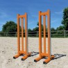 Lot de 2 chandeliers Training