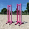 Lot de 2 chandeliers Training