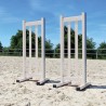 Lot de 2 chandeliers Master Girs