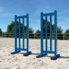 Lot de 2 chandeliers Master Girs