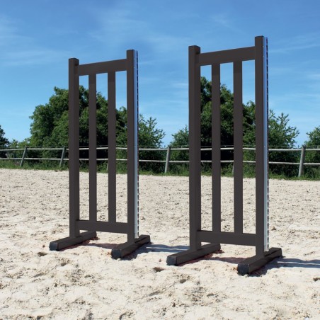 Lot de 2 chandeliers Master Girs