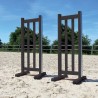 Lot de 2 chandeliers Master Girs