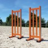 Lot de 2 chandeliers Master Girs