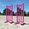 Lot de 2 chandeliers Master Girs