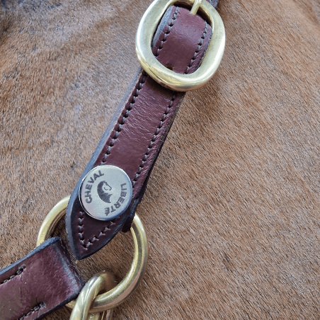 Licol en cuir noir Cheval liberté