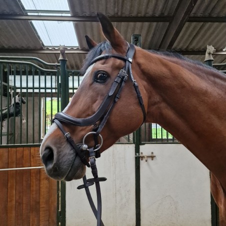 Filet en cuir noir Cheval liberté avec paire de rênes