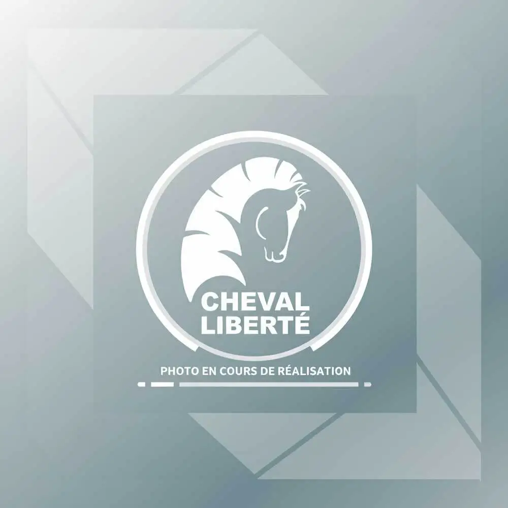 Câble supplémentaire gauche pour faisceau éléctrique