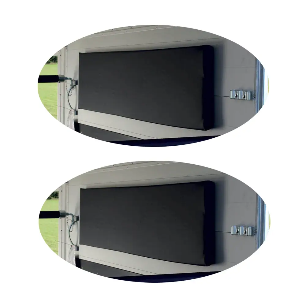 Lot de 2 coussins latéraux