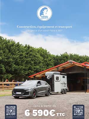 Vans Cheval Libert&eacute;